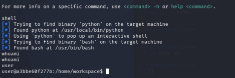 popped a shell in the container environment